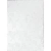 Andes White 4 ft. x 6 ft. (3'6" x 5'6") Geometric Contemporary Accent Rug by BASHIAN